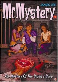 The Mystery Of The Raja's Ruby : Mr Mystery#3