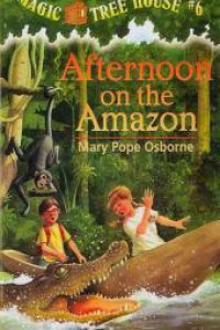 Afternoon On The Amazon