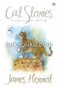 Cat Stories : Kisah-Kisah Kucing