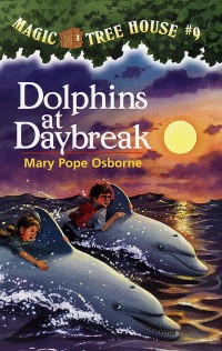 Dolphins At Daybreak