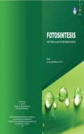 Fotosintesis