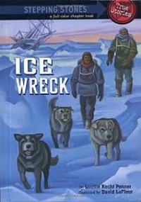 Ice Wreck : Step Stones