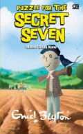 Puzzle For The Secret Seven 10 : Misteri Biola Kuno