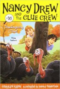 ThanksgiVIng Thief ; Nancy Drew And The Clue Crew #16