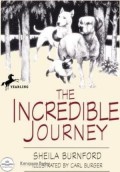 The Incredible Journey