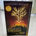A Darkest Minds Collection : Through The Dark