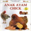 Chick ?Anak Ayam?