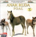 Foal ?Anak Domba?