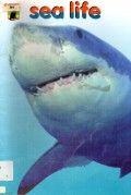 Sea Life
