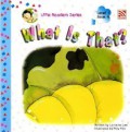 What Is Tahat? - Level 1, Book 4 Little Readers Series
