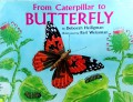 From Caterpillar To Butterfly