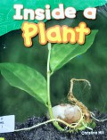 Life Science G K-1 : Inside A Plant