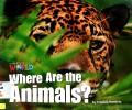 Our World : Where Are The Animals?