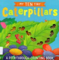 My Ten Tiny Caterpillars