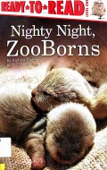 Ready To Read : Nighty Night, Zooborns