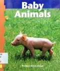 Baby Animals