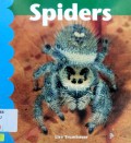 Spiders