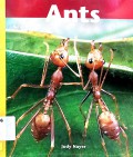 Ants