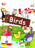 Flashcards : Birds