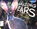 Amazing Ears