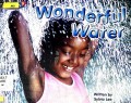 Wonderful Water