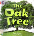 The Oak Tree