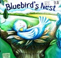 Bluebird'S Nest