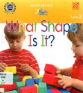 What Shape Is It? (Ready , Set , Go Level 2)