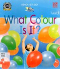 What Colour Is It? (Ready , Set , Go Level 1)
