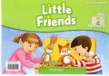 Little Friends Flashcards