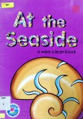 At The Seaside (A Wipe-Clean Book)