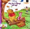 Why Don'T Things Fall Up? ?Disney-Winnie The Pooh'S Thinking Spot?