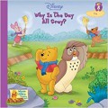 Why Is The Day All Gray? ?Disney-Winnie The Pooh'S Thinking Spot?