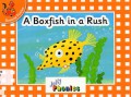 General Fiction : A Boxfish in a Rush