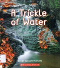 A Trickle of Water