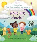 Lift-the-Flap Very First Questions and Answers: Whats are Clouds?