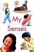 My Senses