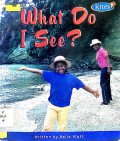 What Do I See?