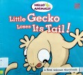 Little Gecko Loses Its Tail!