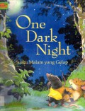 One Dark Night Bilingual