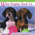 What Puppies Teach Us