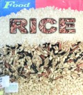 Rice - Food