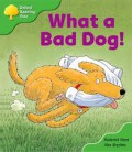 What A Bad Dog! Stage 2 Stories Big Books