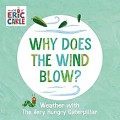 Why Does The Wind Blow?