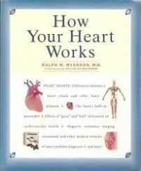 How Your Heart Works