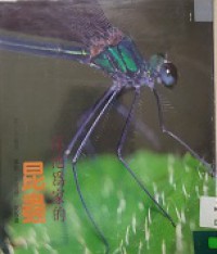 XI Chi Wei Jia De Kunc Hong