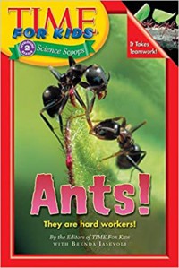 Ants! : They Are Hard Workers! (Time For Kids Science Scoops)