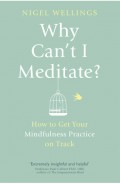 Why Can'T I Meditate?