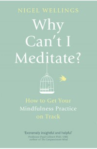 Why Can'T I Meditate?