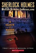 Sherlock Holmes And The Baker Street Irregulars-3-In Search Watson